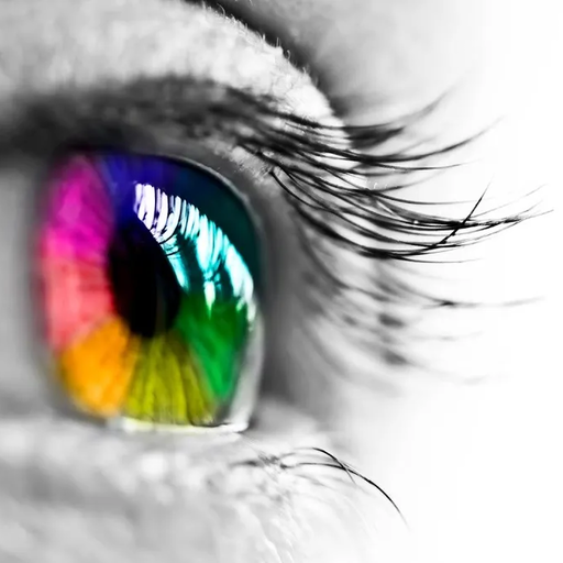 Synesthetic